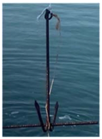 Figure 5: