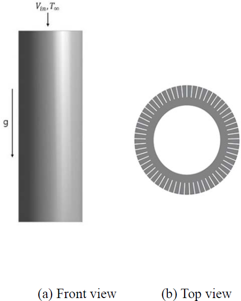 Figure 1:
