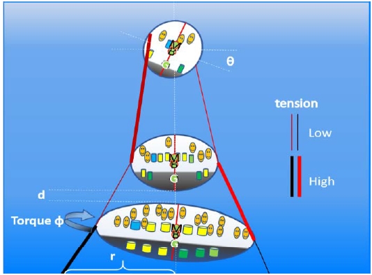 Figure 3: